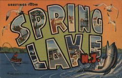 Greetings From Spring Lake Postcard