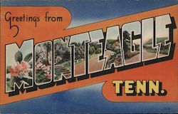 Greetings From Monteagle Postcard