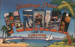 Greetings from Florida, Land of Sunshine Postcard