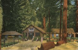 Bug Basin Lodge Big Basin, CA Postcard Postcard Postcard