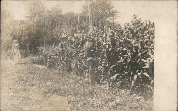 Family in a Corn Field Farming