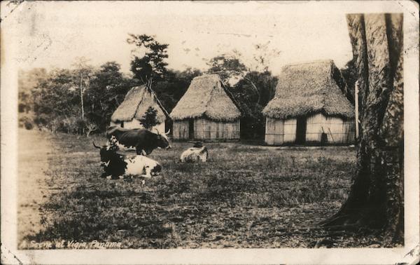 Rural Scene Vigia Panama