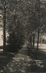 "West Walk" Back Park Clifton Springs, NY Postcard Postcard Postcard