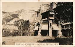 Ahwahnee Hotel - Yosemite Valley Postcard