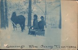 Greetings From Sunny Tennessee Winter Horse Drawn Sled Postcard