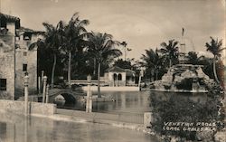 Venetian Pools Postcard