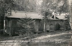 Silver and Blue Spruce Cottage, Slone's Pine Cone Lodge Park Rapids, MN Postcard Postcard Postcard