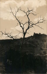 Scene in Palo Duro Canyon, Panhandle Postcard