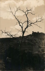 Scene in Palo Duro Canyon, Panhandle Texas R. Davis Postcard Postcard Postcard