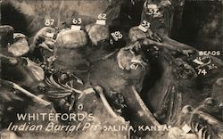 Stock #888236 Thumbnail