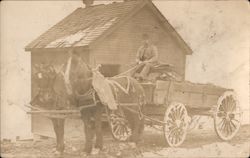 Man in Wagon Pulled by Two Horses Postcard