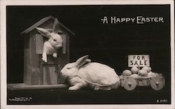A Happy Easter - Bunny Selling Eggs Postcard