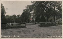 In Oak Dale Park Postcard
