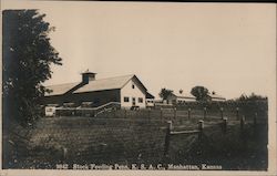 Stock Feeding Pens K.S.A.C. Postcard