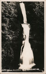Bridal Veil Falls, Columbia Gorge Postcard