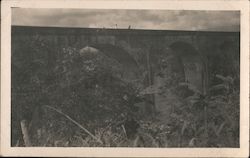 Bridge Over River Postcard