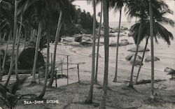 Seaside Scene Postcard