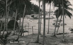 Seaside Scene Tahiti South Pacific Postcard Postcard Postcard