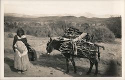 Stock #888518 Thumbnail