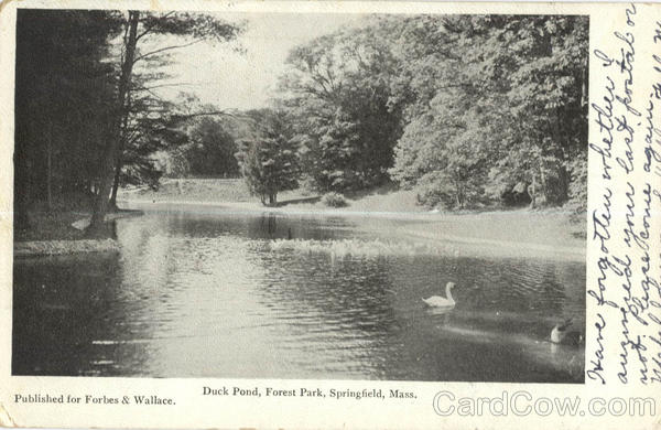 Duck Pond, Forest Park Springfield Massachusetts