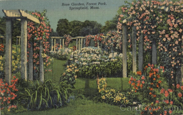 Rose Garden, Forest Park