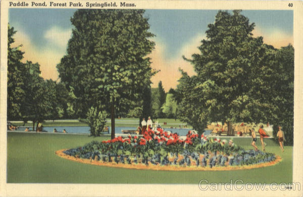 Paddle Pond, Forest Park Springfield Massachusetts