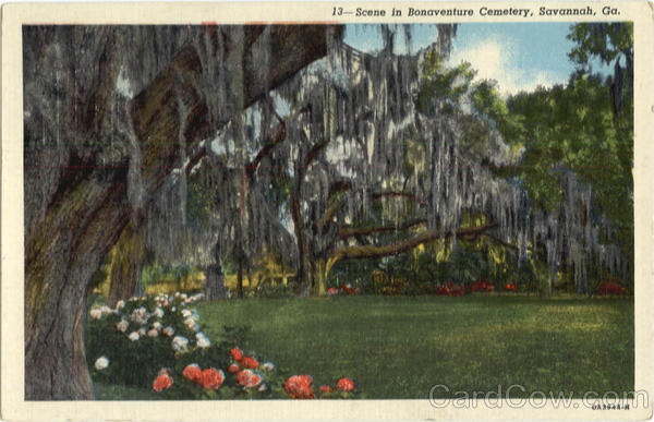 Scene in Bonaventure Cemetery Savannah Georgia