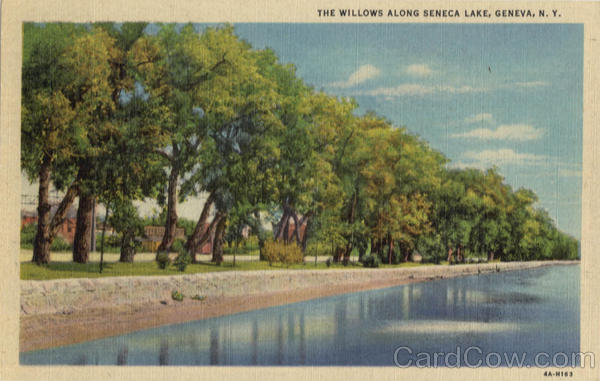 The Willows Along Seneca Lake Geneva New York