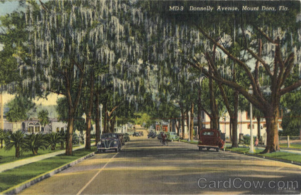 Donnelly Avenue Mount Dora Florida
