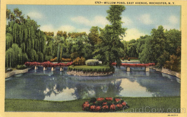Willow Pond, East Avenue Rochester New York