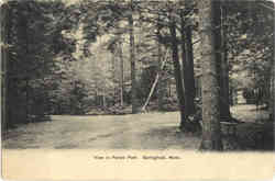 View in Forest Park Postcard