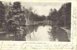 Lake in Forest Park Postcard