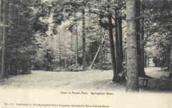 View in Forest Park Postcard
