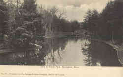 Lake in Forest Park Postcard