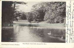 Duck Pond, Forest Park Springfield, MA Postcard Postcard