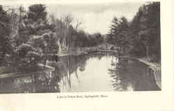Lake in Forest Park Postcard