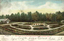 Hot House And Flower Beds in Forest Park Postcard