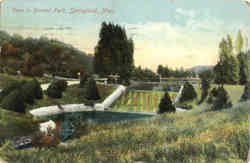 View in Forest Park Postcard