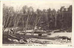 In the Deer Valley, Forest Park Postcard