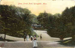 Drive, Forest Park Postcard