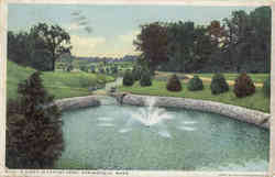 A Vista in Forest Park Postcard