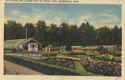 Hot House and Flower Beds In Forest Park In Forest Park Springfield, MA Postcard Postcard