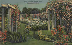 Rose Garden, Forest Park Postcard