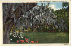Scene in Bonaventure Cemetery Postcard