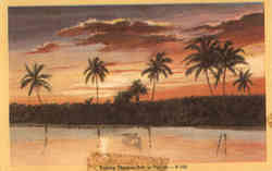 Evening Shadows Fall in Florida Postcard