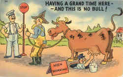 Having a Grand Time Here-And This is No Bull! Comic, Funny Postcard Postcard