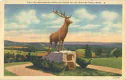 The Elk, Overlooking Deerfield River Valley Mohawk Trail, MA Postcard Postcard