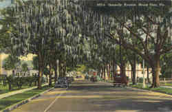 Donnelly Avenue Postcard