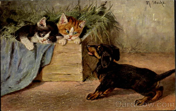 Kittens and Dachshund M. Stocks Dachshunds