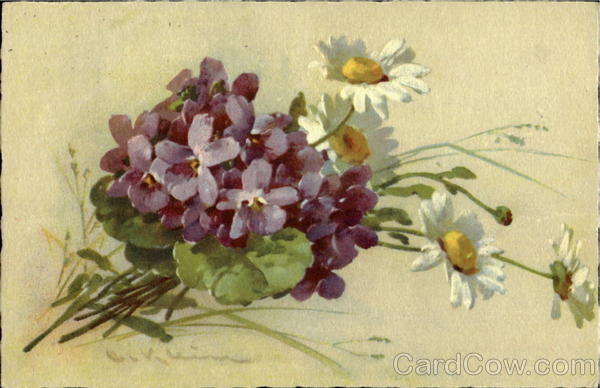 Flower Spray C. Klein